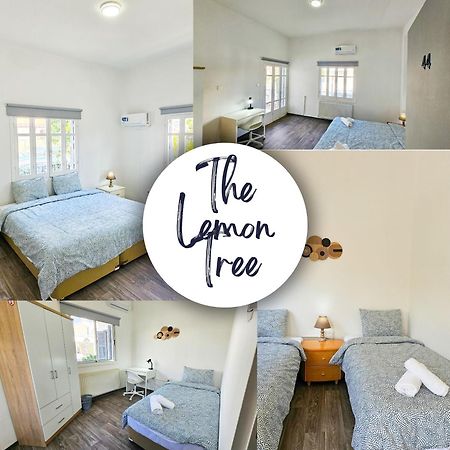 The Lemon Tree Hostel Larnaca Dış mekan fotoğraf